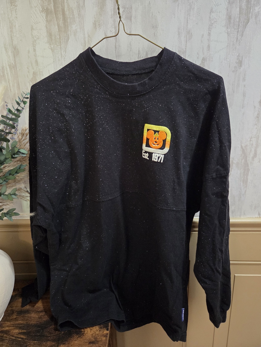 Disney Spirit Jersey